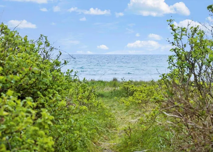 20132-samso-skovvejen-7 Ferienhaus